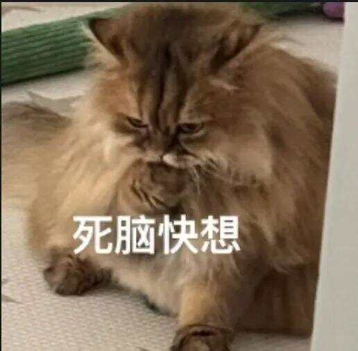 布拉加U23 vs维赛拉U23
_79岁老伯为见其相亲对象“翠花”布拉加U23 vs维赛拉U23
，将身份证改小10岁 被发现后不忘叮嘱民警“能不能不告诉她”