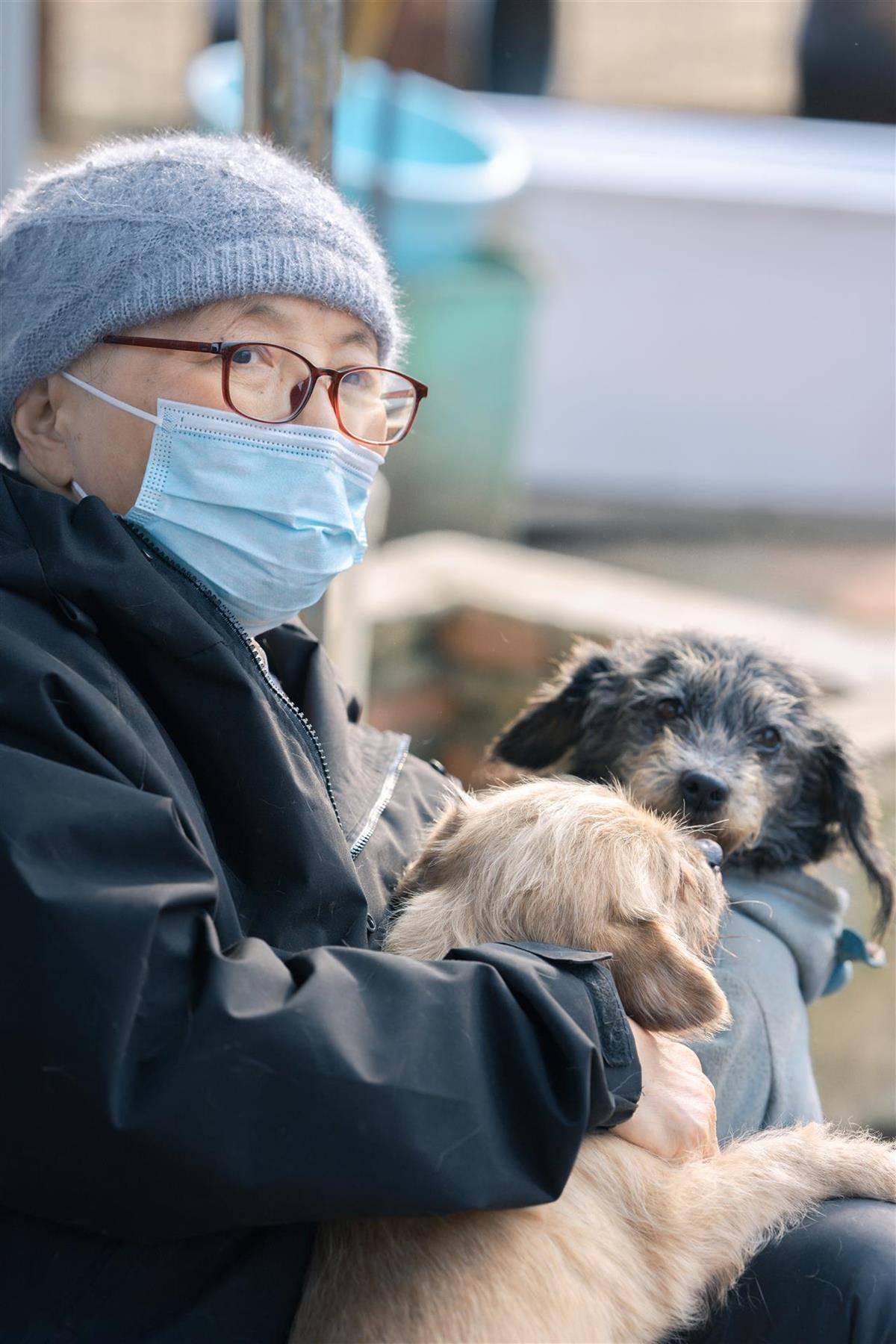 皇冠信用网
_合肥卖房救助流浪狗的魏阿姨离世皇冠信用网
，病中仍然惦记着基地的600只流浪狗，工人：不敢相信世上还有这样执着的人