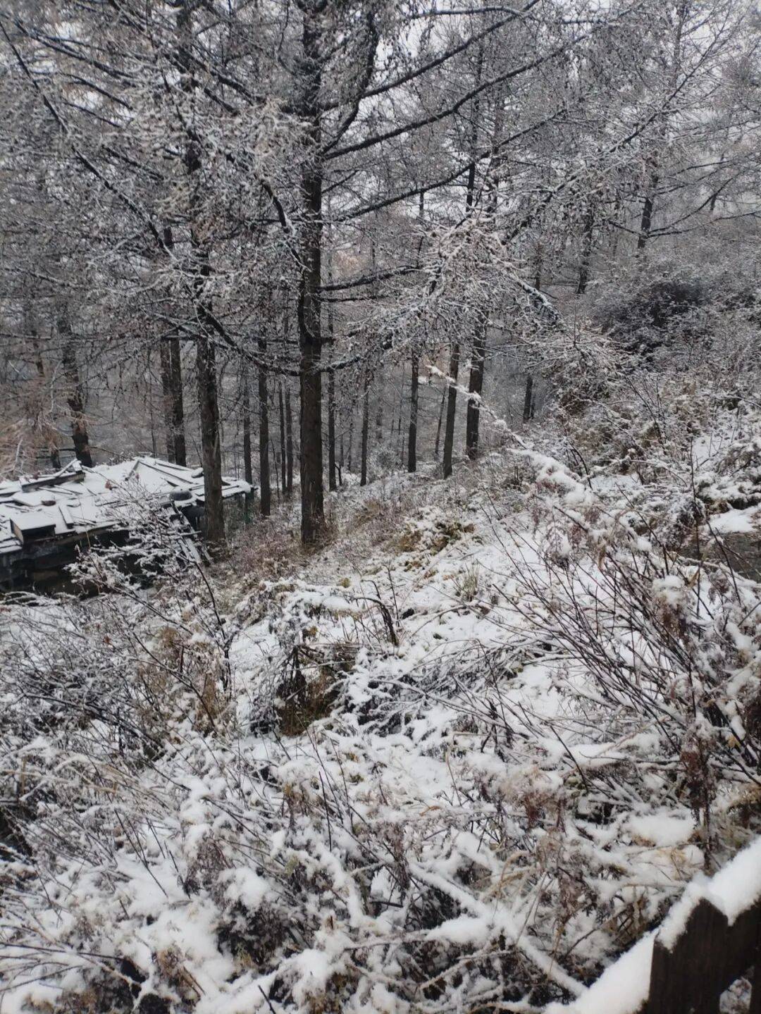 皇冠信用網登1
_石家庄下雪了!河北将迎中到大雪皇冠信用網登1
,未来三天……