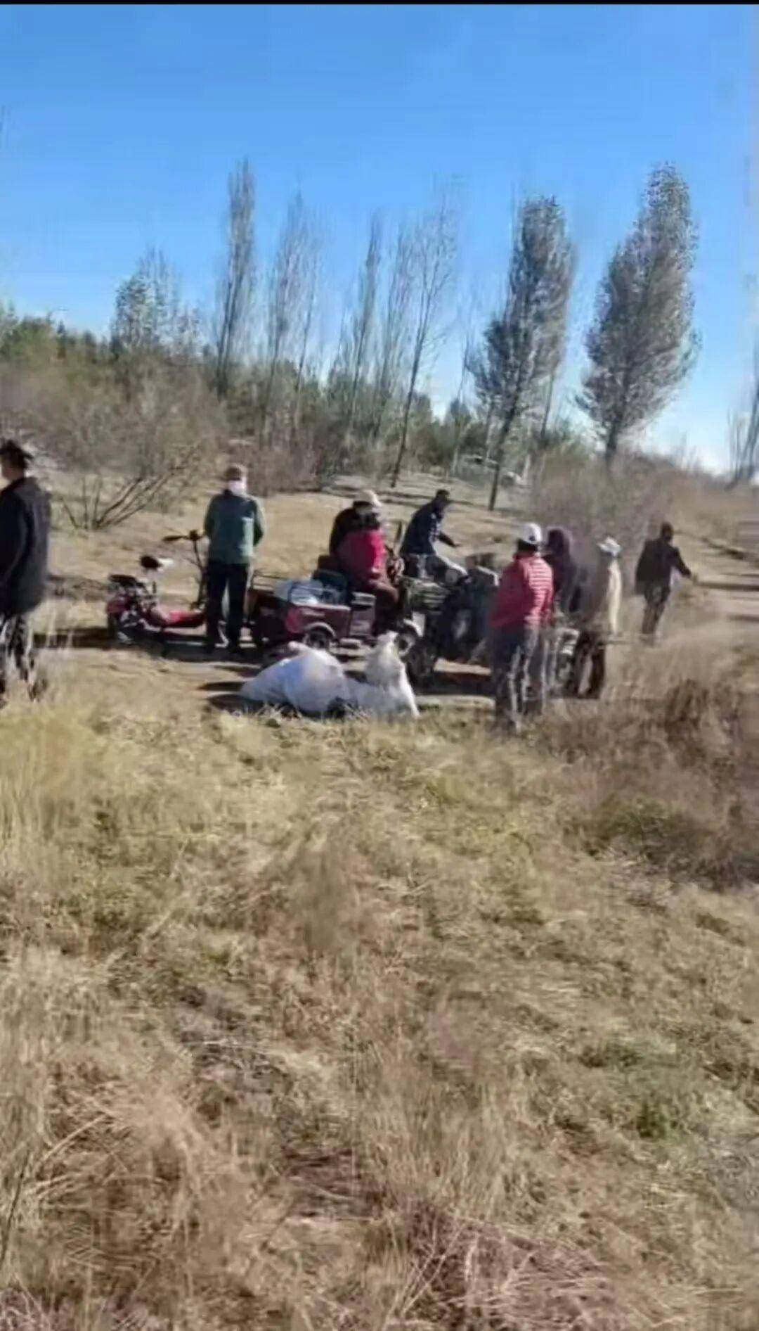 信用网怎么开户
_百亩向日葵遭村民哄抢信用网怎么开户
，损失50万元！警方已行拘4人