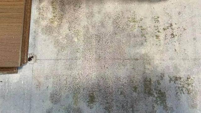 皇冠信用网平台_河南郑州保利一小区超两百户精装房成“霉菌房” 皇冠信用网平台，家里一股霉味